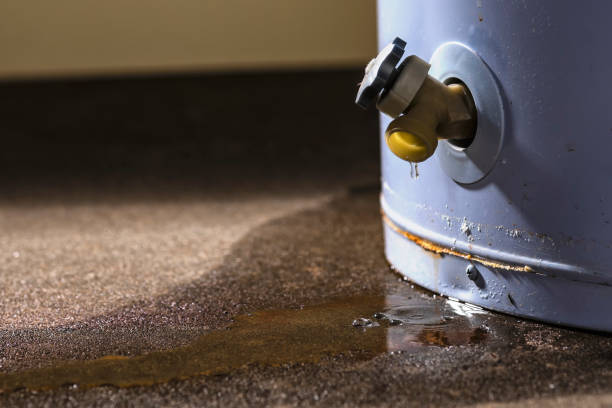 Best Water damage contractors near me  in Avoca, PA