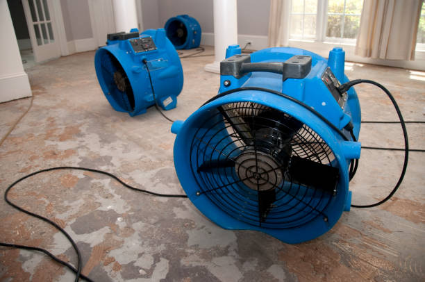 Best Water damage restoration near me  in Avoca, PA