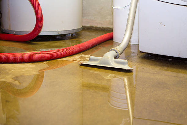 Best Ceiling water damage repair  in Avoca, PA